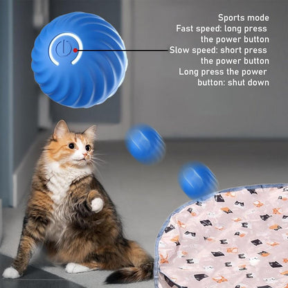 Play mat - Educational cat toy - USB automatic cat toy with three settings - 1 item V1189-HB001CYTR00007