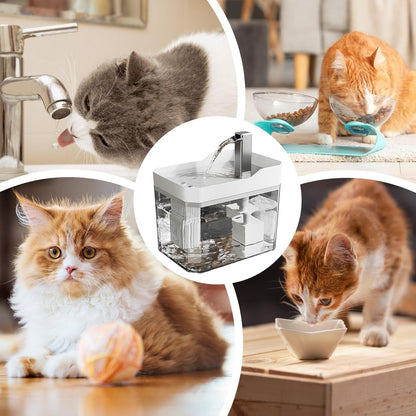 Pet Drinking Fountain - Large Capacity - Removable - 1pc V1189-HB001CYTR00013