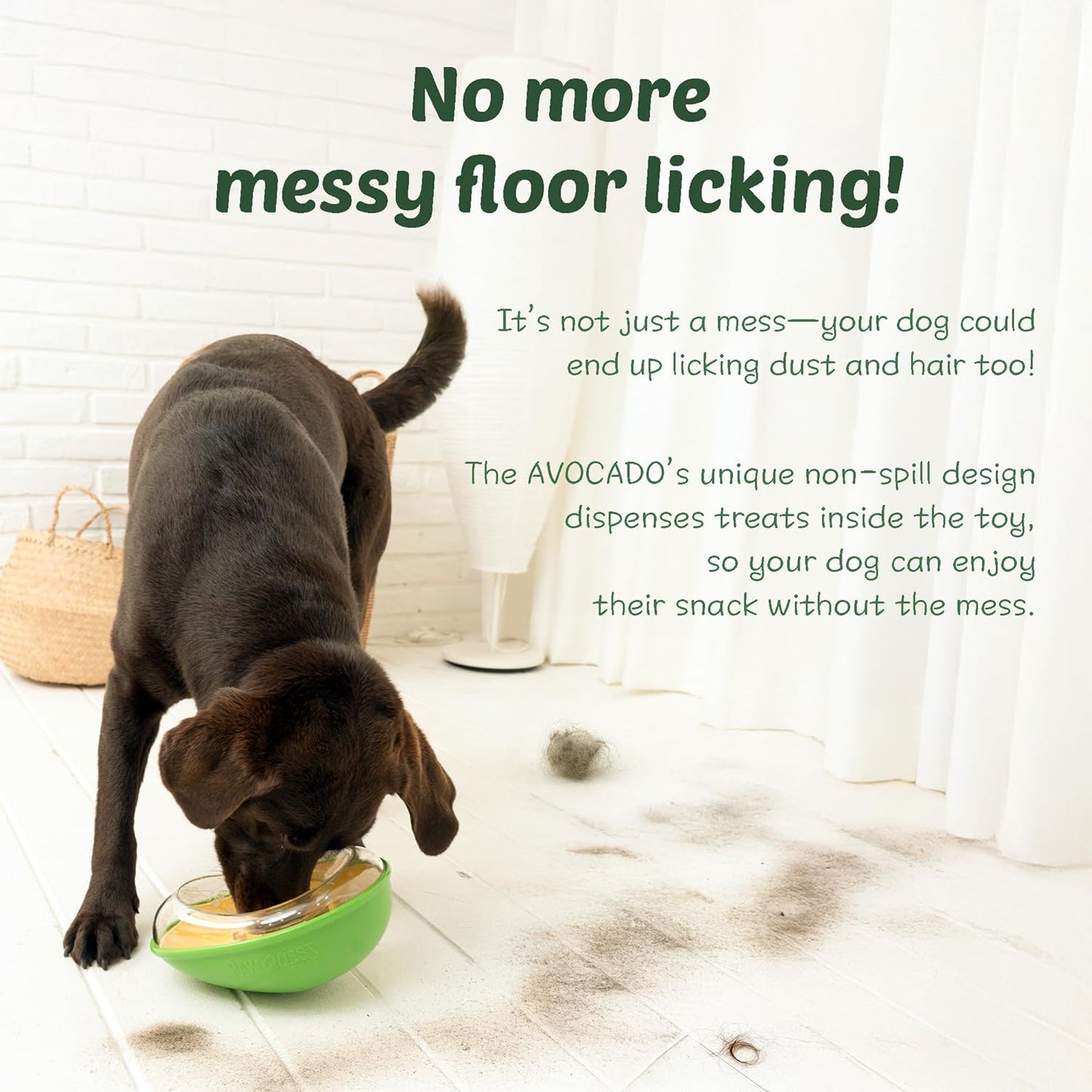 Dog Toy - Leak-Proof - Shake - Avocado - 1pc V1189-HB001CYTR00015