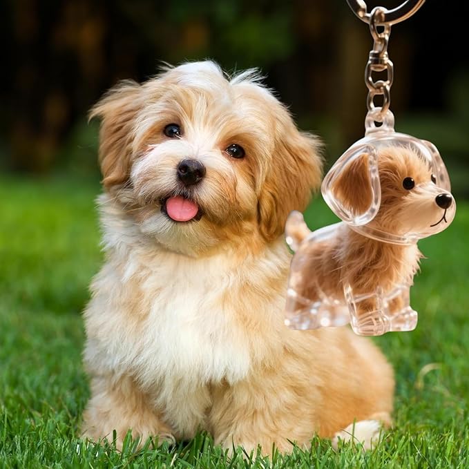 Keychain - Dog Hair Collection - Memory Capsule Pendant - DIY-1pc V1189-HB001CYTR00016