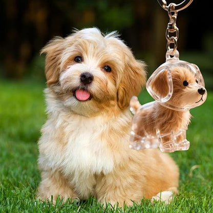 Keychain - Dog Hair Collection - Memory Capsule Pendant - DIY-1pc V1189-HB001CYTR00016