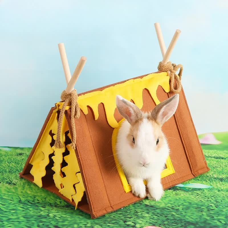Guinea Pig Bed - Durable and Sturdy - Comfortable - Mini - Well Made - Brown - 1st V1189-HB001CYTR00020