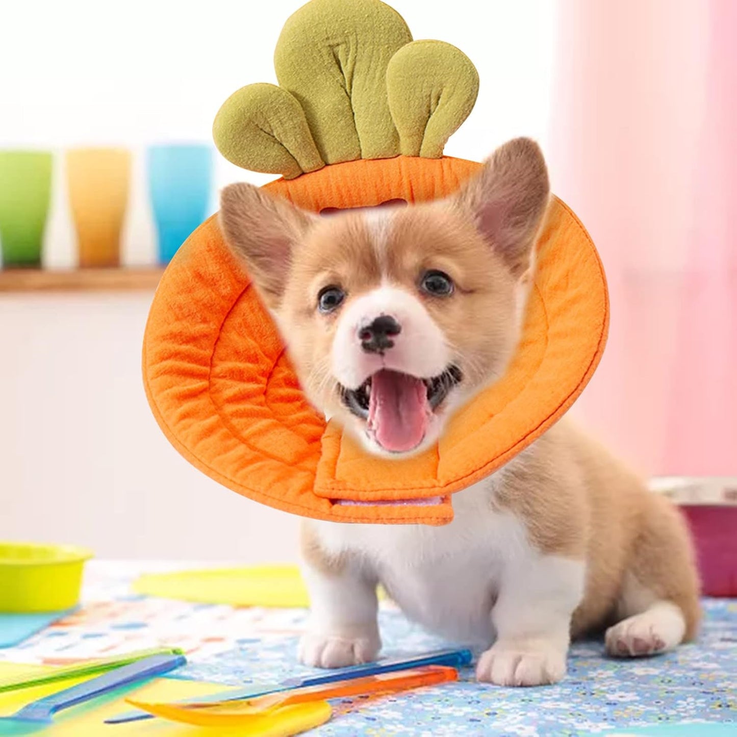 Pet Cone Collar - Soft - Prevents Licking and Biting - Carrot - Small - 1st V1189-HB001CYTR00035