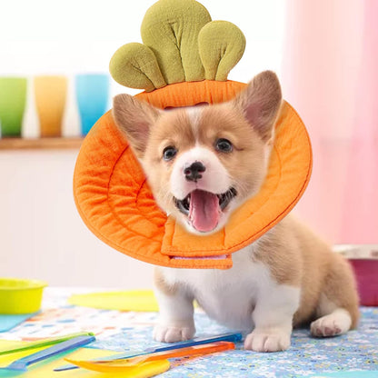 Pet Cone Collar - Soft - Prevents Licking and Biting - Carrot - Small - 1st V1189-HB001CYTR00035