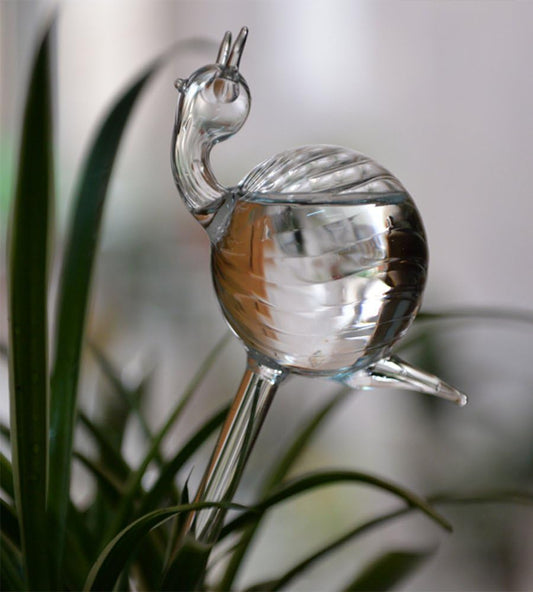 snail-shaped hand-blown clear glass self-watering sustainable mini transparent plant watering pot V1189-HB001HWR000052