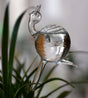 snail-shaped hand-blown clear glass self-watering sustainable mini transparent plant watering pot V1189-HB001HWR000052