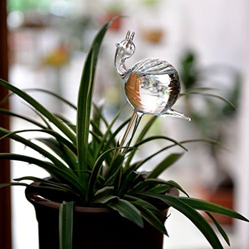 snail-shaped hand-blown clear glass self-watering sustainable mini transparent plant watering pot V1189-HB001HWR000052