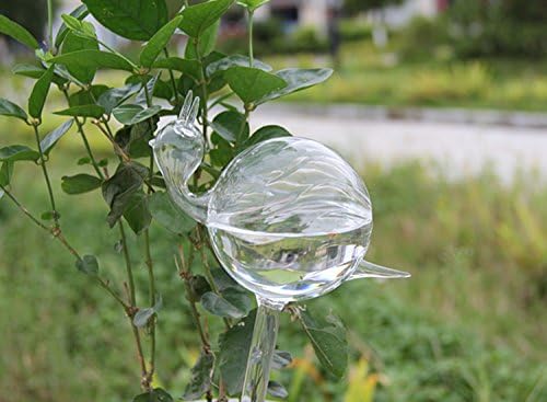 snail-shaped hand-blown clear glass self-watering sustainable mini transparent plant watering pot V1189-HB001HWR000052