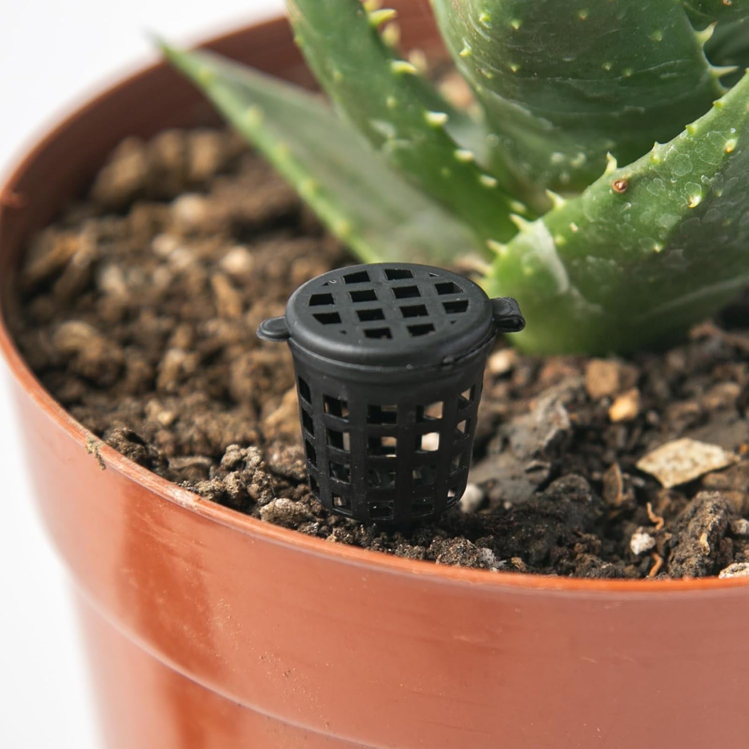 50 pcs Fertilizer Basket with Lid, Fertilizer Box for Bonsai, Fertilizer Applicator, Makes Plant Care Easier V1189-HB001HWR000057