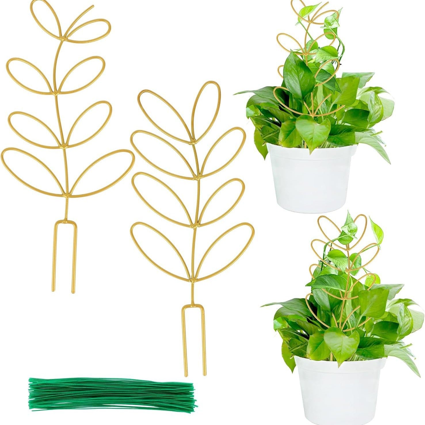 Plant Support Climbing Plants - Leaf-Shaped Plant Climbing Rack - Decorative Plant Stick for Indoors - V1189-HB003WSRR00005