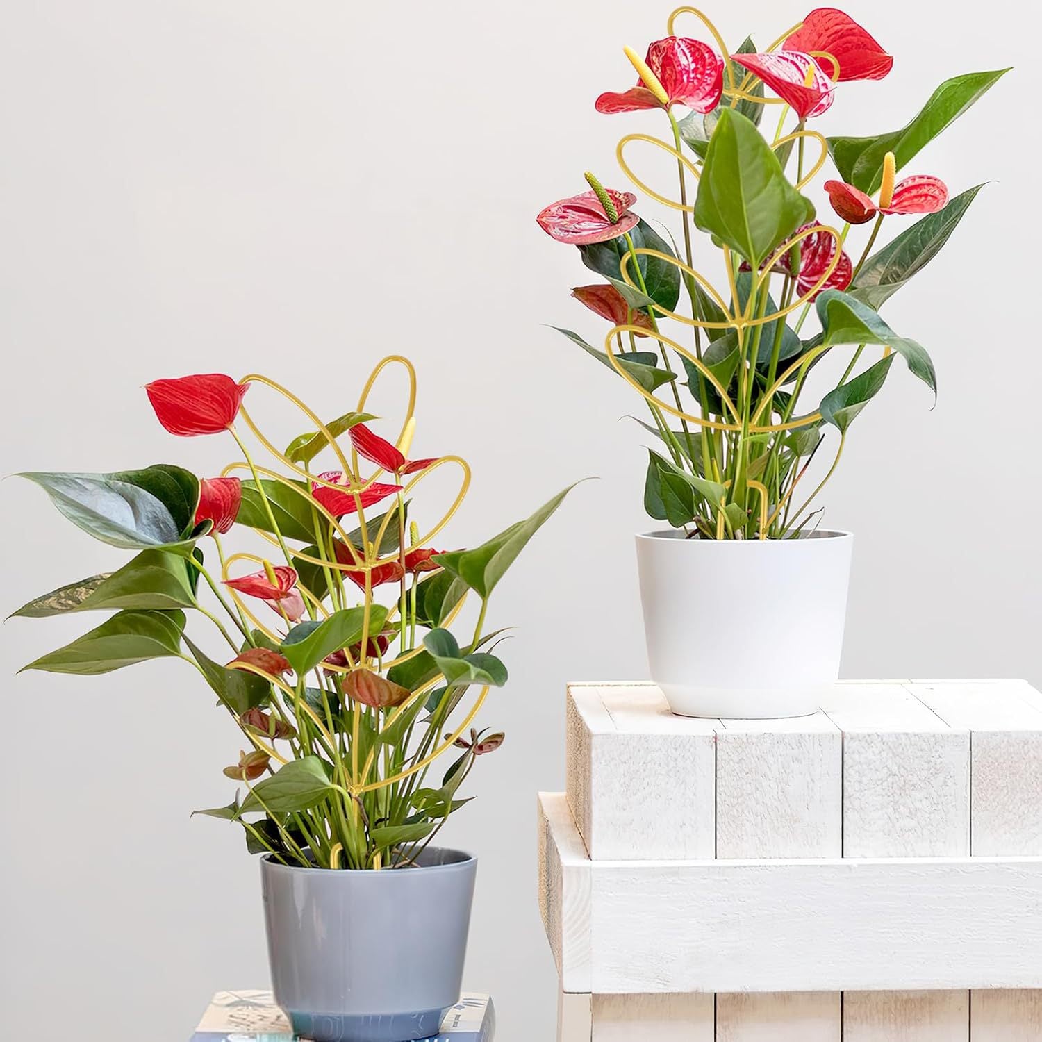 Plant Support Climbing Plants - Leaf-Shaped Plant Climbing Rack - Decorative Plant Stick for Indoors - V1189-HB003WSRR00005