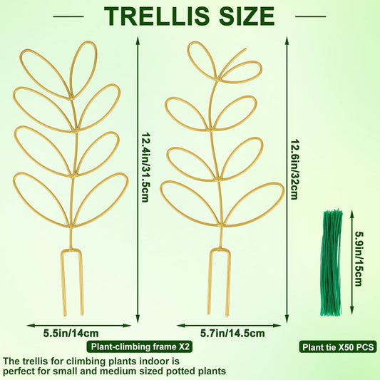 Plant Support Climbing Plants - Leaf-Shaped Plant Climbing Rack - Decorative Plant Pole for Indoor Use - V1189-HB003WSRR00006