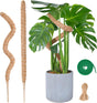 Flexible Plant Support for Climbing Plants - 60 cm Set of 2 - For Houseplants V1189-HB003WSRR00008