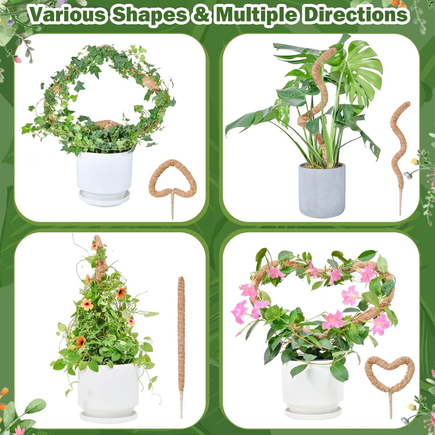 Flexible Plant Support for Climbing Plants - 60 cm Set of 2 - For Houseplants V1189-HB003WSRR00008