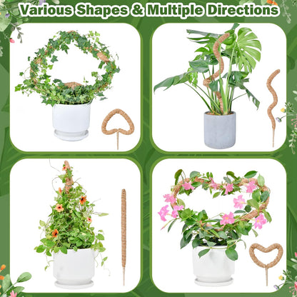 Flexible Plant Support for Climbing Plants - 60 cm Set of 2 - For Houseplants V1189-HB003WSRR00008