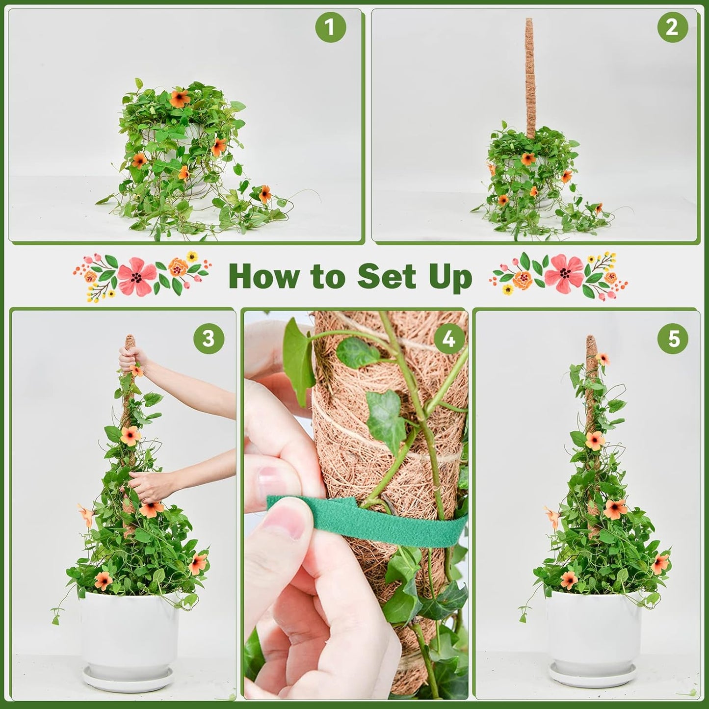 Flexible Plant Support for Climbing Plants - 60 cm Set of 2 - For Houseplants V1189-HB003WSRR00008