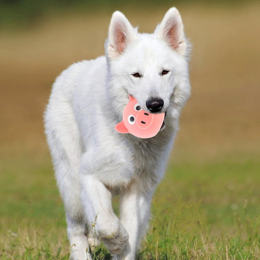Interactive Dog Toy - Squeaky Pig Chew Toy - Beneficial for dogs and puppies - Makes playtime more fun for V1189-HB003ZSSE00013