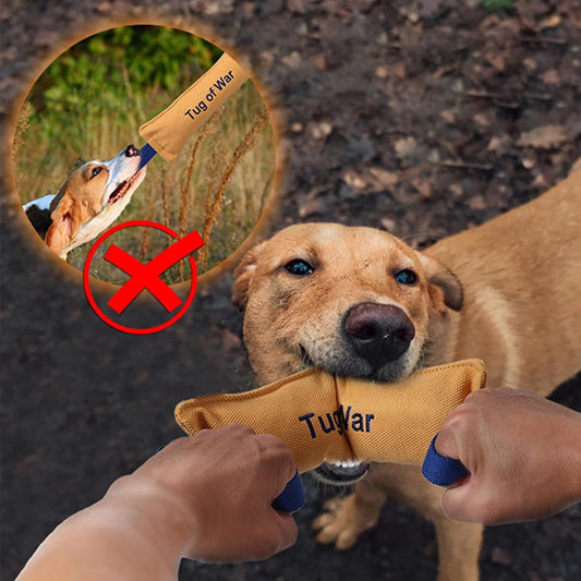 Bite Resistant Dog Toys - Heavy Duty Training Toys with Bite Resistance - Dog Tug Toys - Highly Efficient and V1189-HB003ZSSE00014