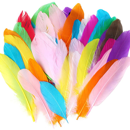 Coopserbil DIY Natural Colourful Craft Feathers (50 Count) One Size I V1189-LWWAL-20260325-00032