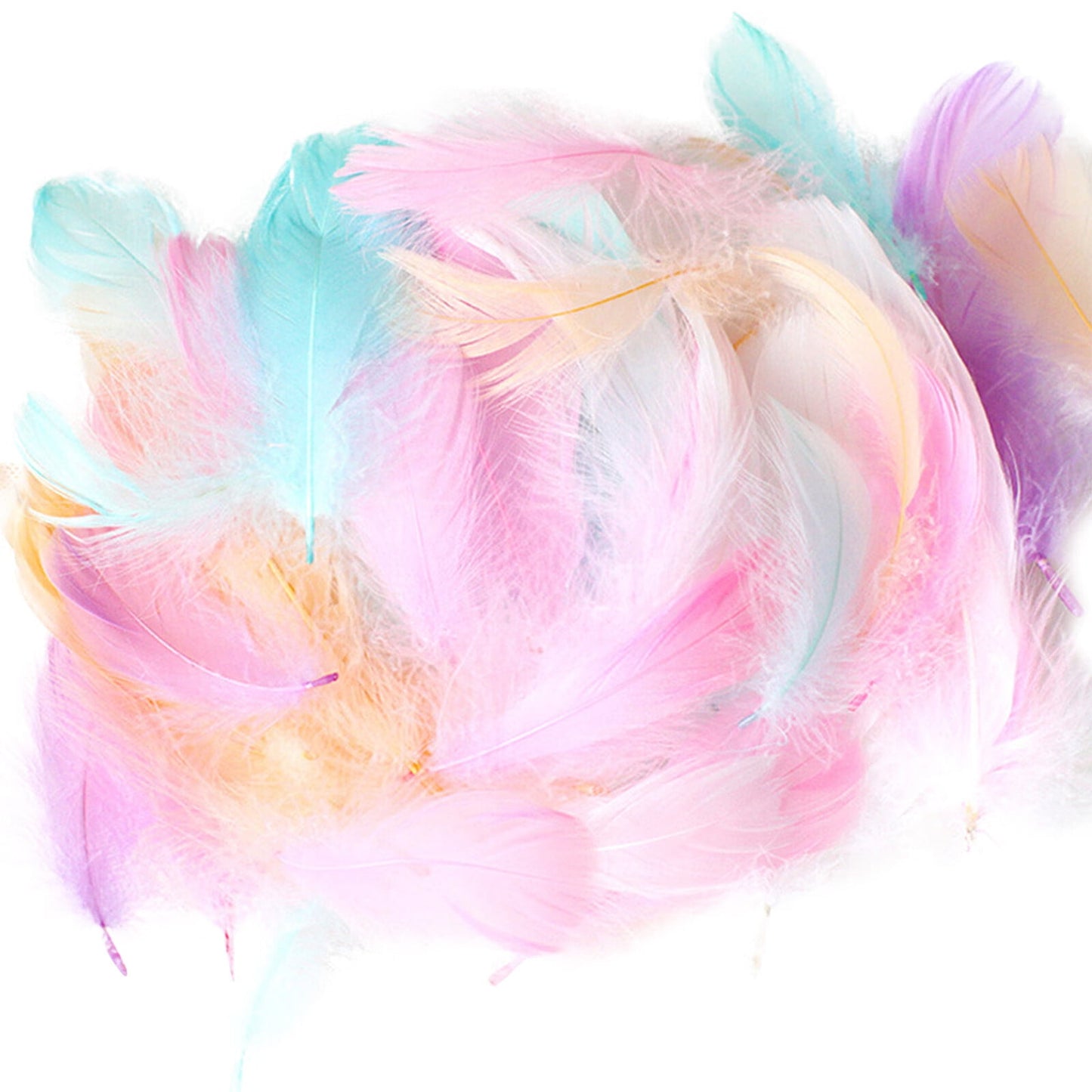 Coopserbil DIY Natural Colourful Craft Feathers (50 Count) 5.0-15.0 cm Natural Colourful V1189-LWWAL-20260325-00033