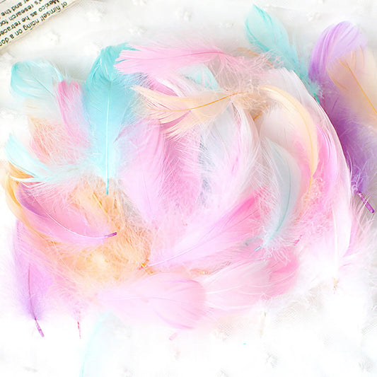 Coopserbil DIY Natural Colourful Craft Feathers (50 Count) 5.0-15.0 cm Natural Colourful V1189-LWWAL-20260325-00033