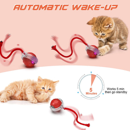 Interactive Cat Toy Ball - Smart Automatic Play with 3 Modes, Durable Silicone Material Red V1189-LWWAL-20260325-00065