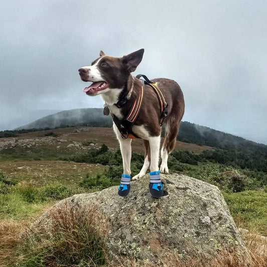 Dog Boots for Dogs Non-Slip, Waterproof Dog Booties for Outdoor, Dog Shoes for Medium to Large Dogs with V1189-LWWAL-20260325-00706
