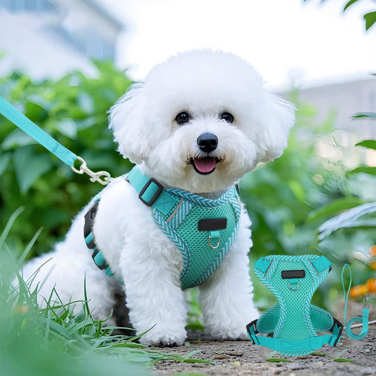 Tyidzon Small Dog Harness with Pet Lead, Puppy Harness Reflective Step-in Puppy Pet Harnesses for Small V1189-LWWAL-20260325-01222