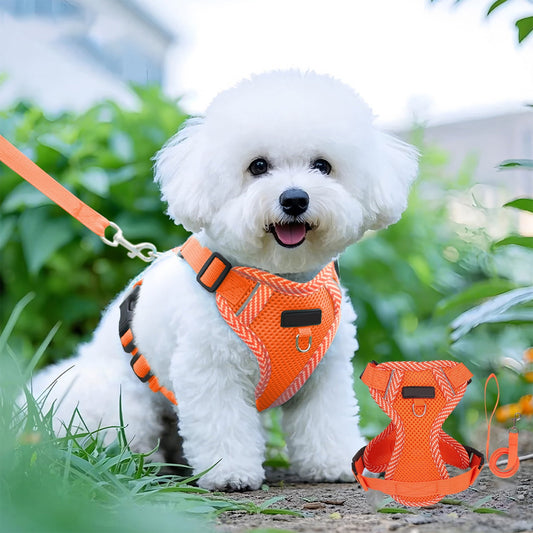 Tyidzon Small Dog Harness with Pet Lead, Puppy Harness Reflective Step-in Puppy Pet Harnesses for Small V1189-LWWAL-20260325-01223