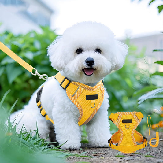 Tyidzon Small Dog Harness with Pet Lead, Puppy Harness Reflective Step-in Puppy Pet Harnesses for Small V1189-LWWAL-20260325-01224