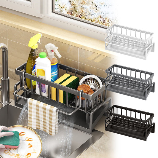 PALIFEUR Sponge Holder for Kitchen Sink, Kitchen Sink Organizer Rustproof 304 Stainless Steel Detachable V1189-LWWAL-20260325-01322