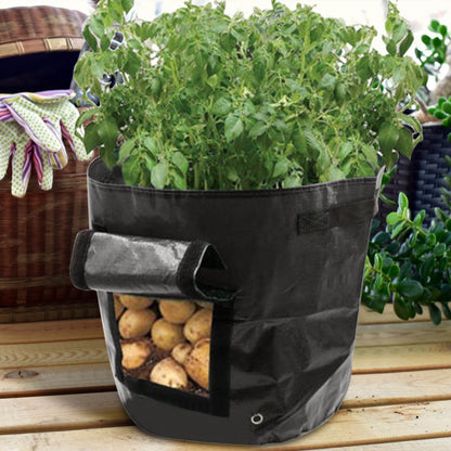 Suncoda Summer Savings 34x35cm Potato Grow Bag with Side Window & Handles 14" x 18" Black#3 V1189-LWWAL-20260325-01612