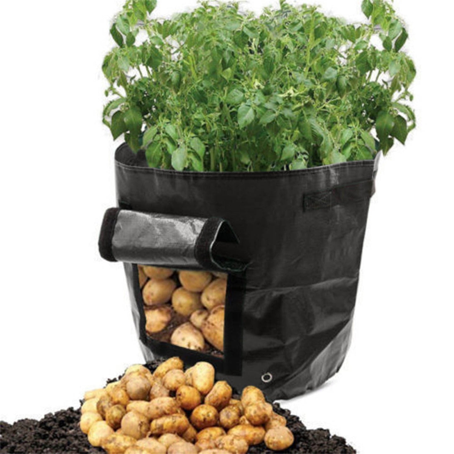 Suncoda Summer Savings 34x35cm Potato Grow Bag with Side Window & Handles 14" x 20" Black#4 V1189-LWWAL-20260325-01613