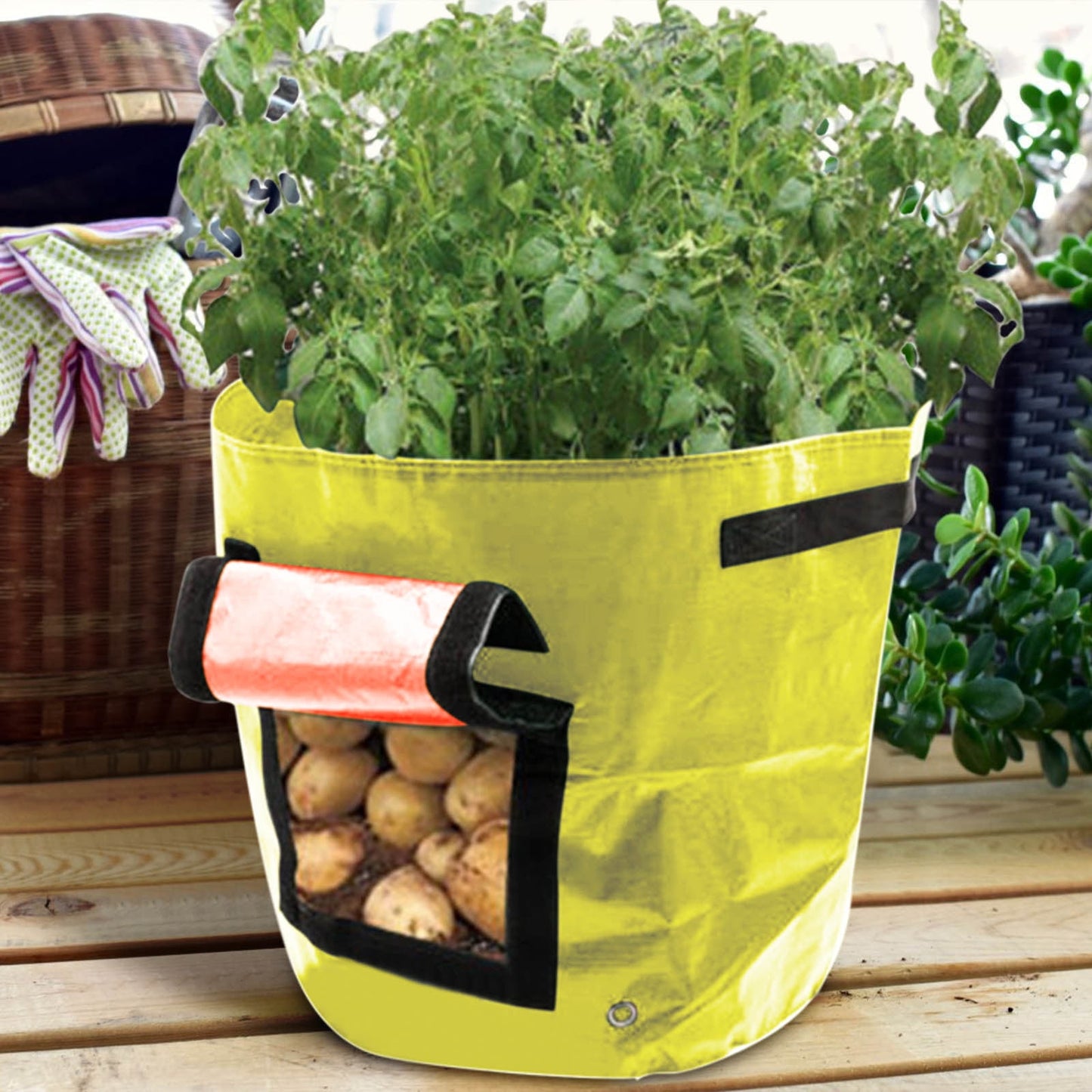 Suncoda Summer Savings 34x35cm Potato Grow Bag with Side Window & Handles 12" x 14" Gray#2 V1189-LWWAL-20260325-01615