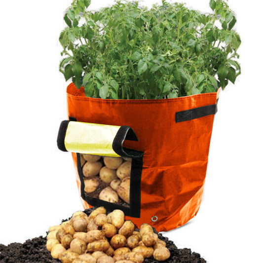 Suncoda Summer Savings 34x35cm Potato Grow Bag with Side Window & Handles 13" x 14" Orange#1 V1189-LWWAL-20260325-01618