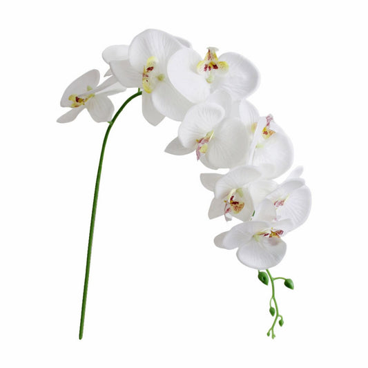 LGCASL Flowers Faux Butterfly Orchid 1 Pc Real Double Branch Silk Flowers for Wedding Home Office Party Hotel V1189-LWWAL-20260325-02359