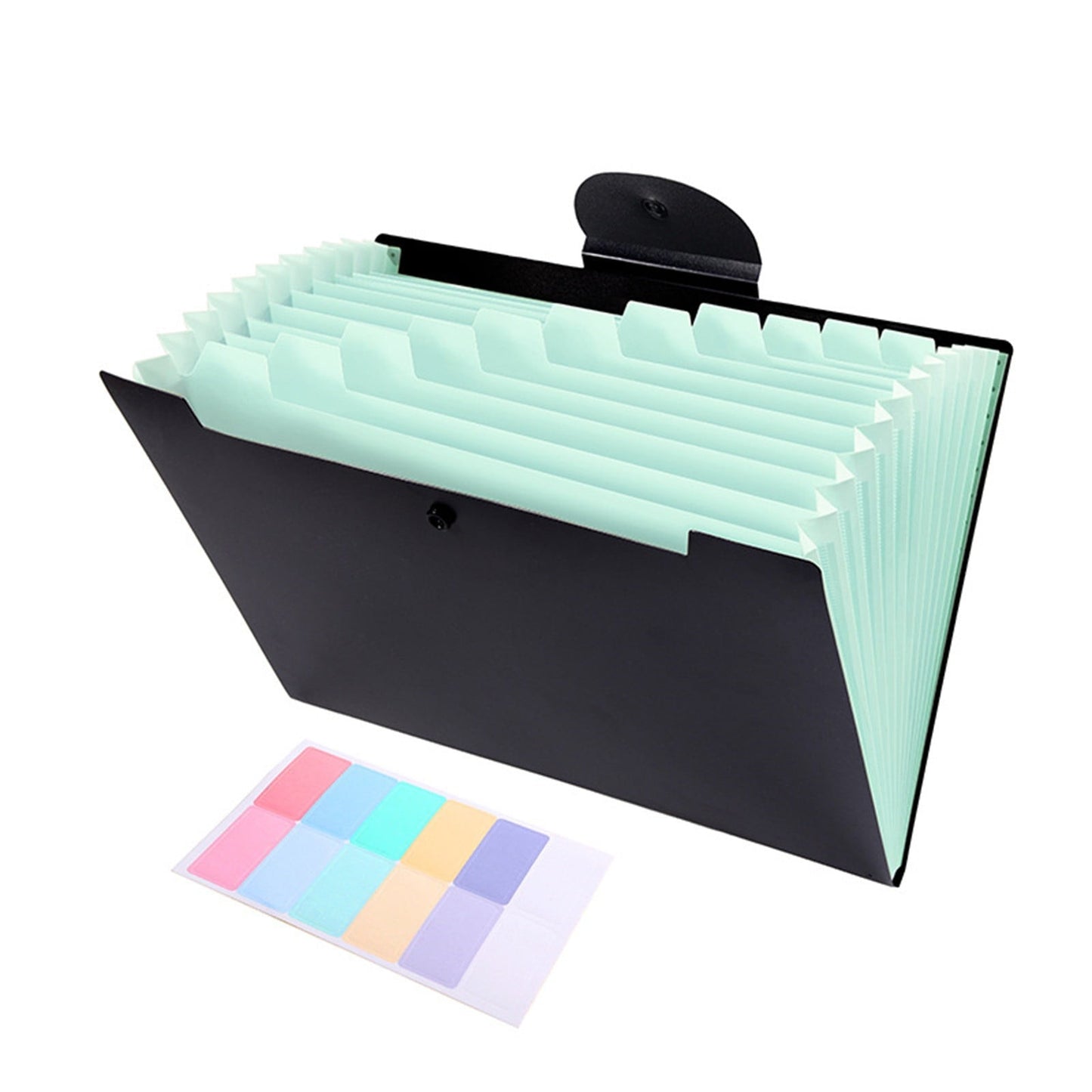 LGCASL Accordion File Organizer Expanding File Folder with 12 Pockets Portable Receipt Paper Bill Document V1189-LWWAL-20260325-02625