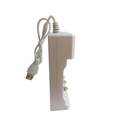No. 5 White Four -Sannin Nickel chromium nickel -metal hydride charging battery charger V1189-LWWAL-20260325-02805