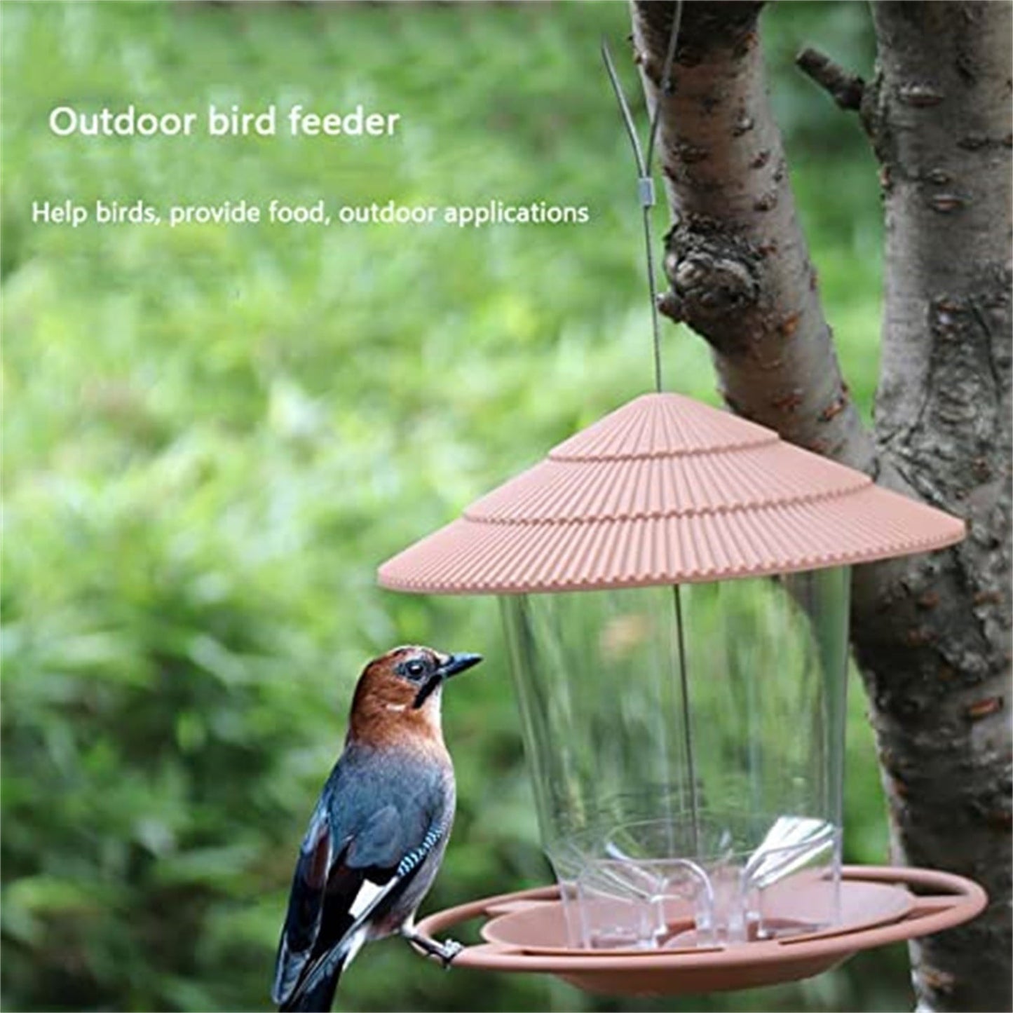 JWDX BigBird Outdoor Hanging Wild Bird Feeder, Plastic, Brown Z2-Brown V1189-LWWAL-20260325-02903