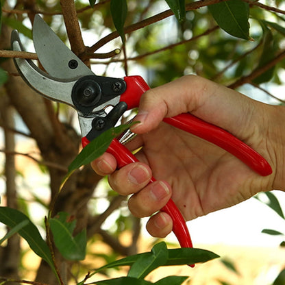 Masteelf 1 Set Red Grafting Pruner for Gardening 11.8*1.6in V1189-LWWAL-20260327-03588