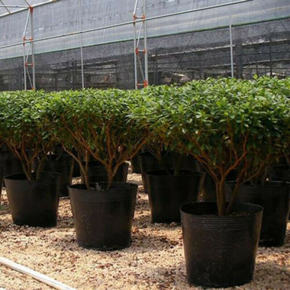 100 Pack Black Plastic Nursery Pots Plant Containers Garden Flower Seedling Planter With Drainage Holes 5Cm V1189-LWWAL-20260327-04326