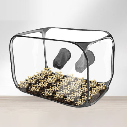Still Air Box, Mushroom Grow Kit, Portable Compact Still Air Box Mycology Balck Smile Home V1189-LWWAL-20260327-04434