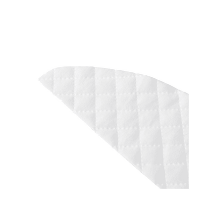 100Pcs Mops Cloths Disposable Wipes Parts Accessories for EVE Plus Robot Cleaner Sweeper,100 x Disposable mop V1189-LWWAL-20260327-04626