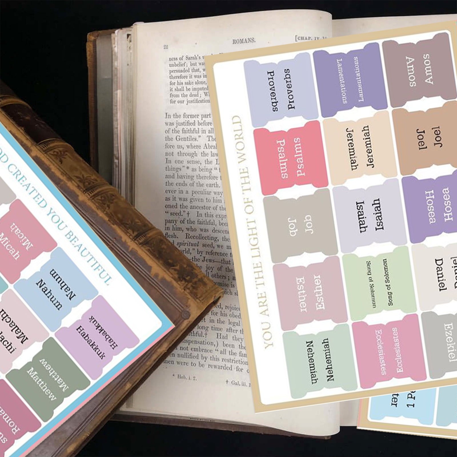 Bible Guidance Tabs with Book Tabs & Blank Customizable Tabs - 7.87 x 5.5 inches, Easy Apply & Removable, V1189-LWWAL-20260401-05384