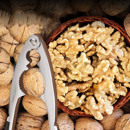 Walnut Cracker Tools, Nut Crackers for all Nuts, Walnut Nutcrackers, Metal Nut Shell Openers, Nut Shell V1189-LWWAL-20260401-06794