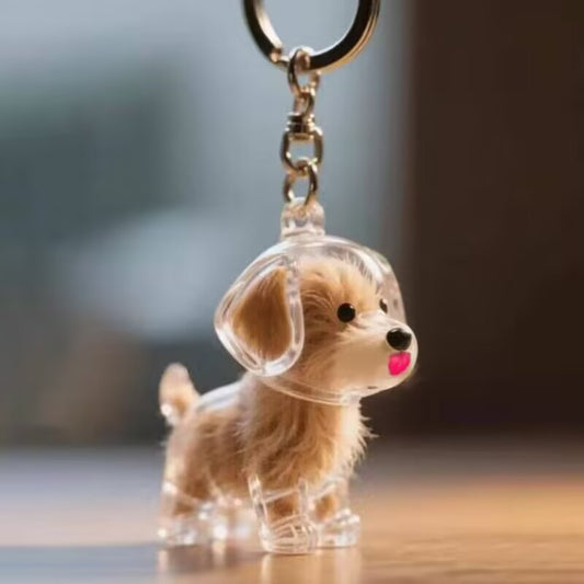 Keychain - Pet Hair - Storage Box - Pendants - Capsule Toy - Dog Hair Capsule - Memorial Pendant - Bag V1189-WXF-260203-00083