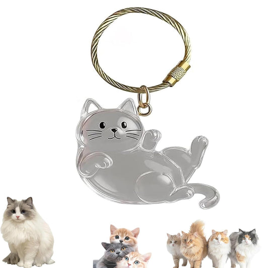 Keychain - Pet Hair - Storage Box - Pendants - Capsule Toy - Dog Hair Capsule - Memorial Pendant - Bag V1189-WXF-260203-00091