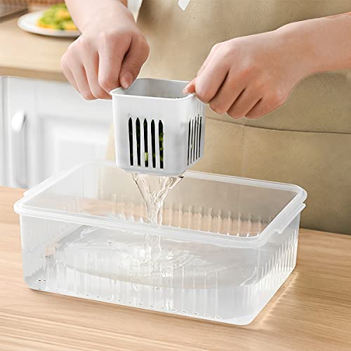 Storage box - Storage box with lid - Organizer - Food storage containers - Fridge organizer - Pallet - V1189-WXF-260203-00321