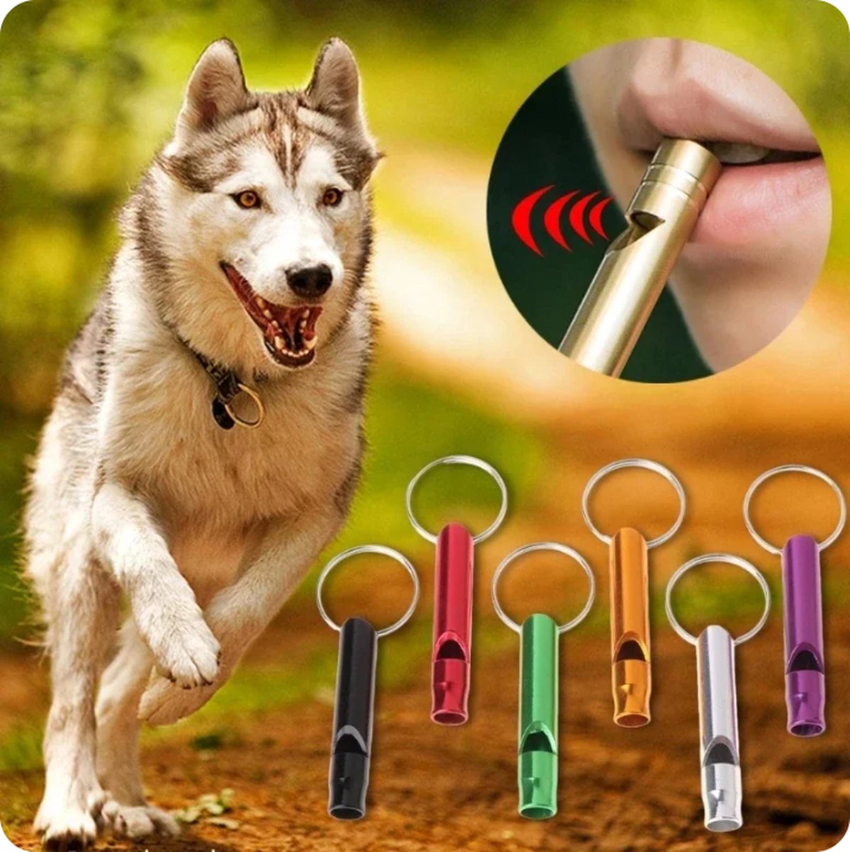 Dog whistle | Emergency whistle | Emergency whistle | Emergency kit | Black V1189-WXFBOL-110-1