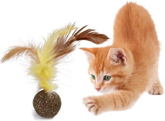 Catnip Ball with Feather | Fun & Tasty Cat Toy | Toys for Cats V1189-WXFBOL-62-1
